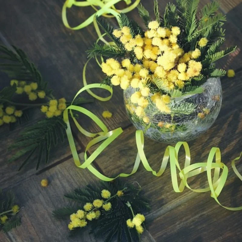 RC VXL-3s ESC Двигатель охлаждающего вентилятора с двумя вентиляторами, совместимый с радиатором Trxs Slash 4x4 Stampede 4x4 Rustler 4x4 Hoss 4×4 Velineon 
RC VXL-3s ESC Двигатель охлаждающего вентилятора с двумя вентиляторами, совместимый с радиатором Trxs Slash 4x4 Stampede 4x4 Rustler 4x4 Hoss 4×4 Velineon