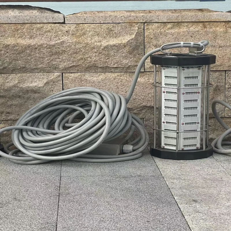 110v/220v 4000w Waterproof IP68 Aluminum Alloy Underwater LED Fishing Lamp With 100-500m Lighting Distance For America Canada
110v/220v 4000w Waterproof IP68 Aluminum Alloy Underwater LED Fishing Lamp With 100-500m Lighting Distance For America Canada