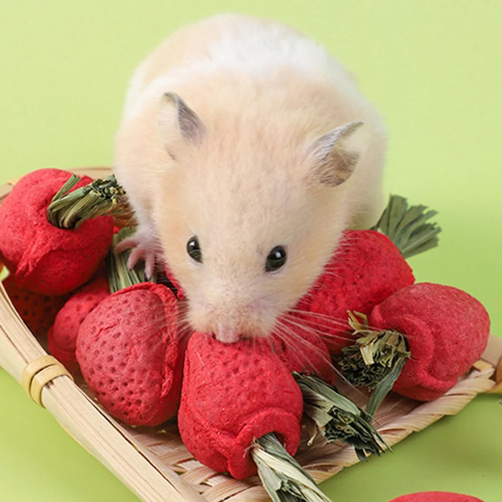 Hamster Teething Toy Accessories Stick Chewing Plaything Toys Chinchilla Props Rabbit Supply
Hamster Teething Toy Accessories Stick Chewing Plaything Toys Chinchilla Props Rabbit Supply
