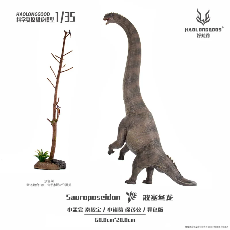 In stock Haolong good Poseidon Dragon 1:35 Sauropod Dinosaur Model Toy Handmade in Stock
In stock Haolong good Poseidon Dragon 1:35 Sauropod Dinosaur Model Toy Handmade in Stock