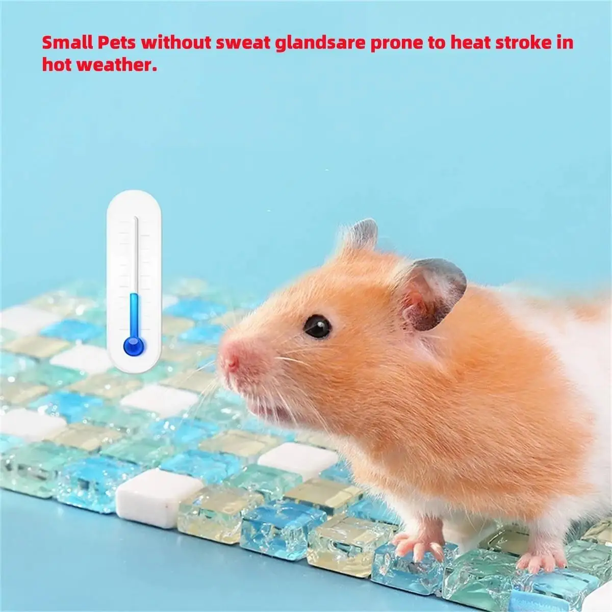 1Pc Small Pets Hamster Cooling Pad Crystal Marble Cool Mat Guinea Pig Golden Bear Chinchillas Rabbit Resin Cooler Beds 2 Sizes
1Pc Small Pets Hamster Cooling Pad Crystal Marble Cool Mat Guinea Pig Golden Bear Chinchillas Rabbit Resin Cooler Beds 2 Sizes