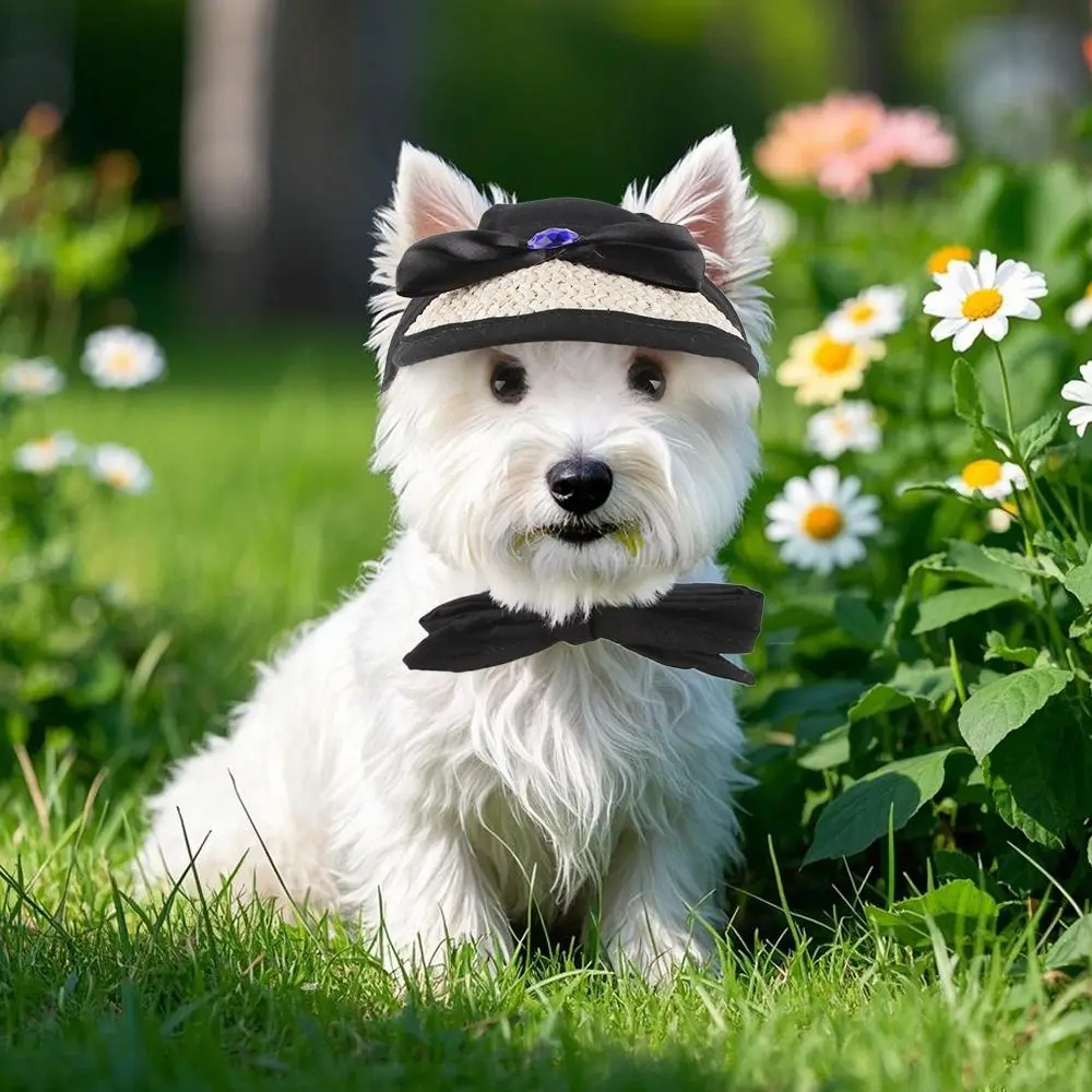 Pet Supplies Grass Woven Dog Sunscreen Hat Elegant French Style Dog Fisherman Hat Lace Adjustable Pet Baseball Cap Outdoor
Pet Supplies Grass Woven Dog Sunscreen Hat Elegant French Style Dog Fisherman Hat Lace Adjustable Pet Baseball Cap Outdoor
