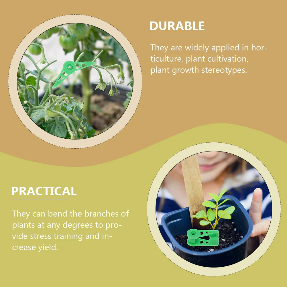 30Pcs 360 Degree Adjustable Clips Plastic Branch Benders Plant Supports for Fruit Trees Flowers Vegetable Growth 
30Pcs 360 Degree Adjustable Clips Plastic Branch Benders Plant Supports for Fruit Trees Flowers Vegetable Growth