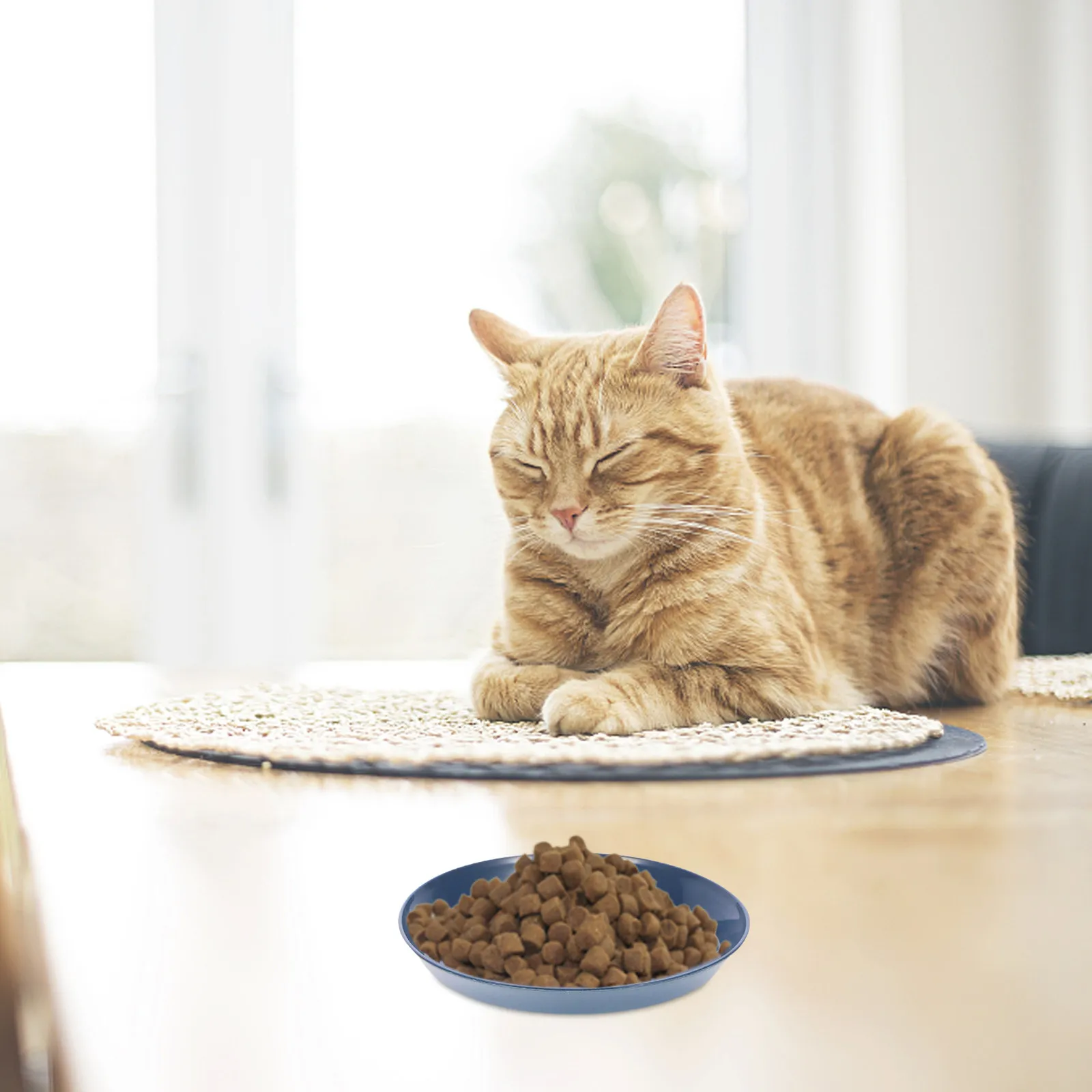 8Pcs Cat Food Plates Shallow Bowls Kitten Feeding Dish Water Bowl for Small Cats Indoor Use Comfortable Flat Bottom Cat Bowls
8Pcs Cat Food Plates Shallow Bowls Kitten Feeding Dish Water Bowl for Small Cats Indoor Use Comfortable Flat Bottom Cat Bowls