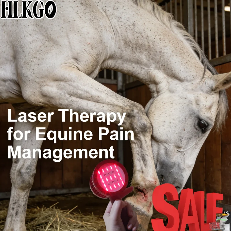 Медицинский инфракрасный лазерный аппарат 5 Вт, 6+19 диодов 808/650 нм для глубокого восстановления тканей, снятия боли при растяжении мышц и проблемах с суставами
Медицинский инфракрасный лазерный аппарат 5 Вт, 6+19 диодов 808/650 нм для глубокого восстановления тканей, снятия боли при растяжении мышц и проблемах с суставами