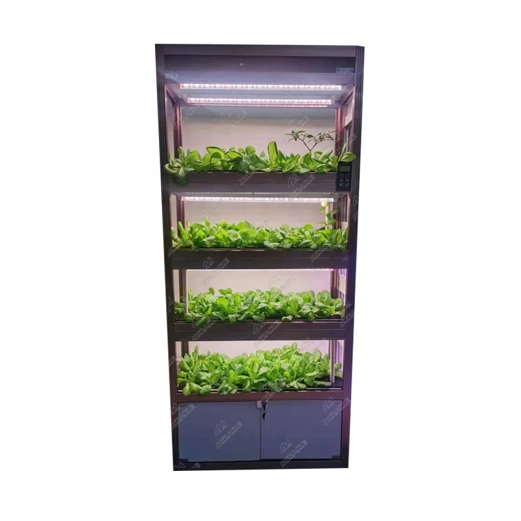 Гидропонная машина для выращивания салата, мобильное интеллектуальное управление, семена томатов
Гидропонная машина для выращивания салата, мобильное интеллектуальное управление, семена томатов