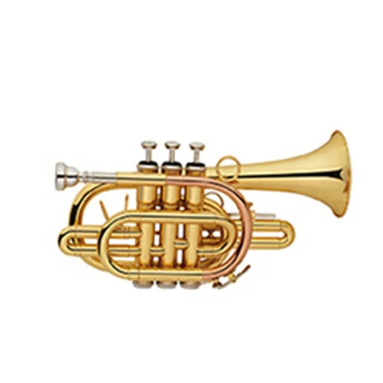 OEM Gold BB Child Trumpet Brass Body With Gold Lacquer Surface JYCTR01 Model
OEM Gold BB Child Trumpet Brass Body With Gold Lacquer Surface JYCTR01 Model