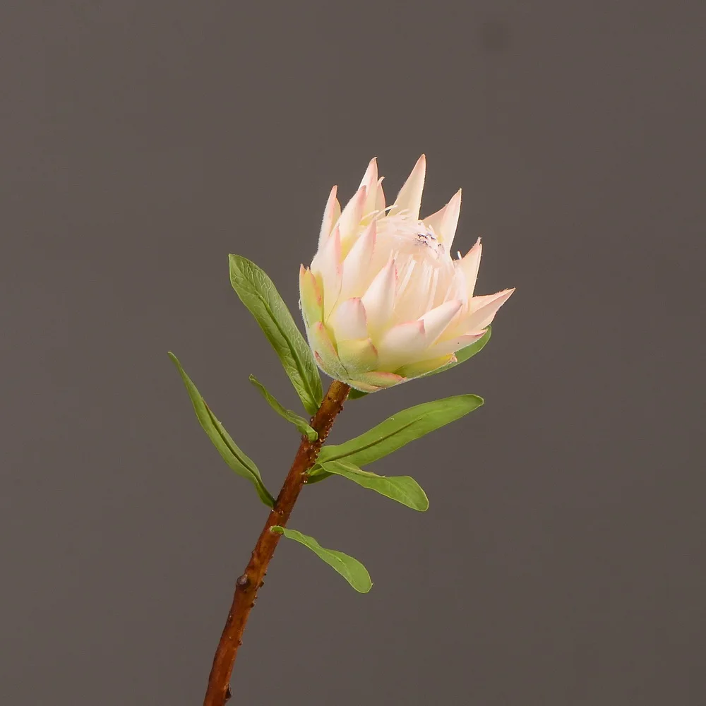 High Quality Protea Fake Flower Silk King Protea DIY Floral Arrangement Fake Dried Flowers Home Wedding Table Party Decoration
High Quality Protea Fake Flower Silk King Protea DIY Floral Arrangement Fake Dried Flowers Home Wedding Table Party Decoration