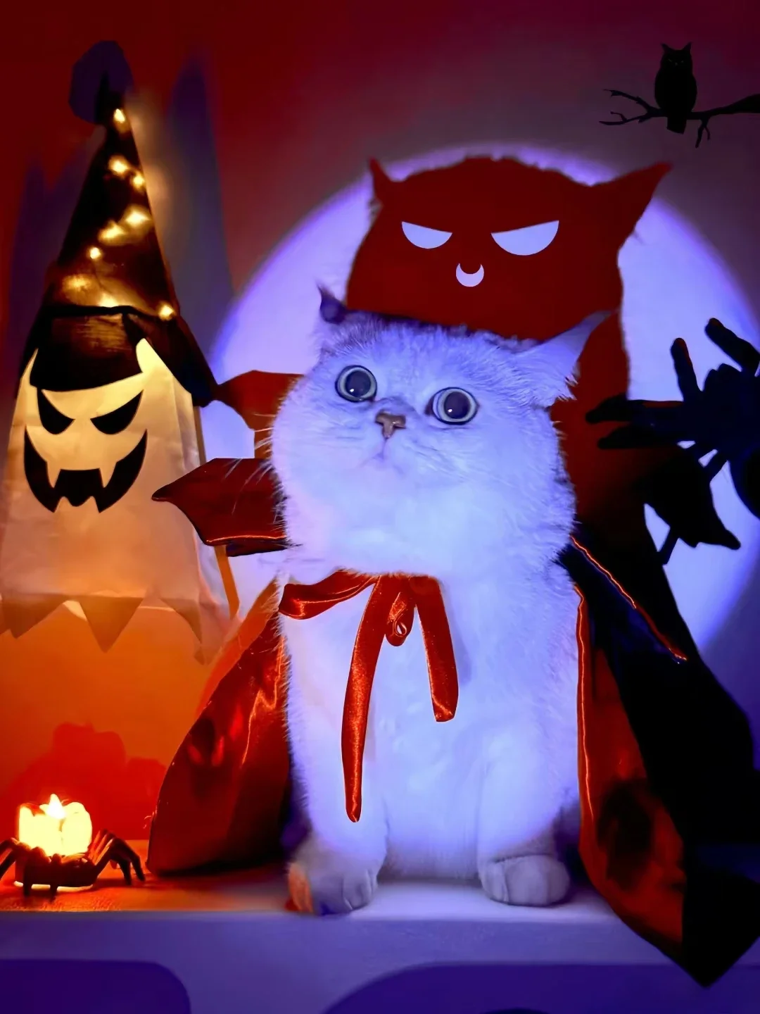 Pet Halloween cape hat holiday suit, dog transformation costume Christmas dress up pet clothes
Pet Halloween cape hat holiday suit, dog transformation costume Christmas dress up pet clothes