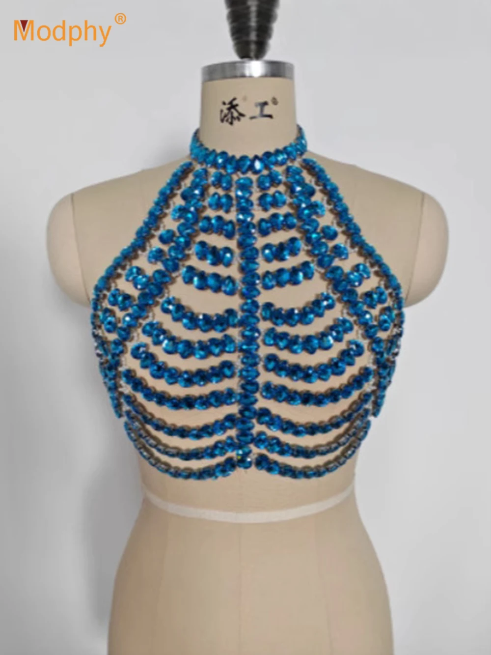 Modphy Blue Halter Tank Tops Glitter Diamonds Bustier Tops Gorgeous Backless Crop Top Club Vest Festival Outfits
Modphy Blue Halter Tank Tops Glitter Diamonds Bustier Tops Gorgeous Backless Crop Top Club Vest Festival Outfits
