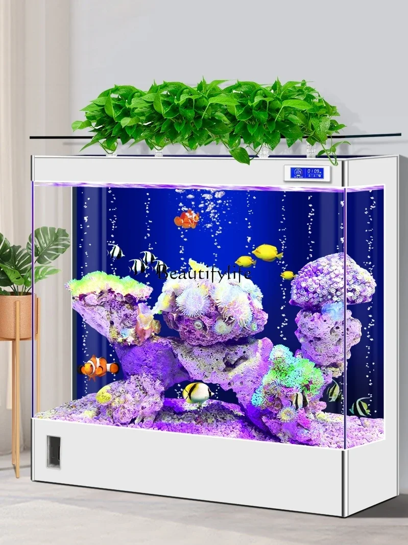 New Super White Glass Fish Tank Living Room Floor Small Household Back Filter Change Water Large Aquarium
New Super White Glass Fish Tank Living Room Floor Small Household Back Filter Change Water Large Aquarium