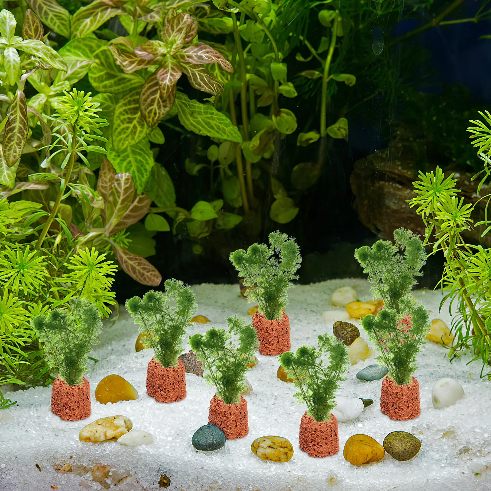 30pcs Water Grass Fixed Ring Aquarium Plant Holders Fish Tank Tools Sinker Weed Rings Practical Durable Decor
30pcs Water Grass Fixed Ring Aquarium Plant Holders Fish Tank Tools Sinker Weed Rings Practical Durable Decor