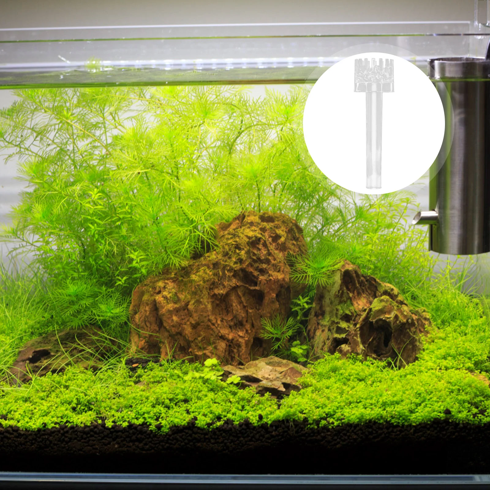 2 Pcs Fish Tank Degreasing Film Aquarium Oil Pollution Processor Device Active Freshwater Remover Abs Protein Skimmer Filter
2 Pcs Fish Tank Degreasing Film Aquarium Oil Pollution Processor Device Active Freshwater Remover Abs Protein Skimmer Filter