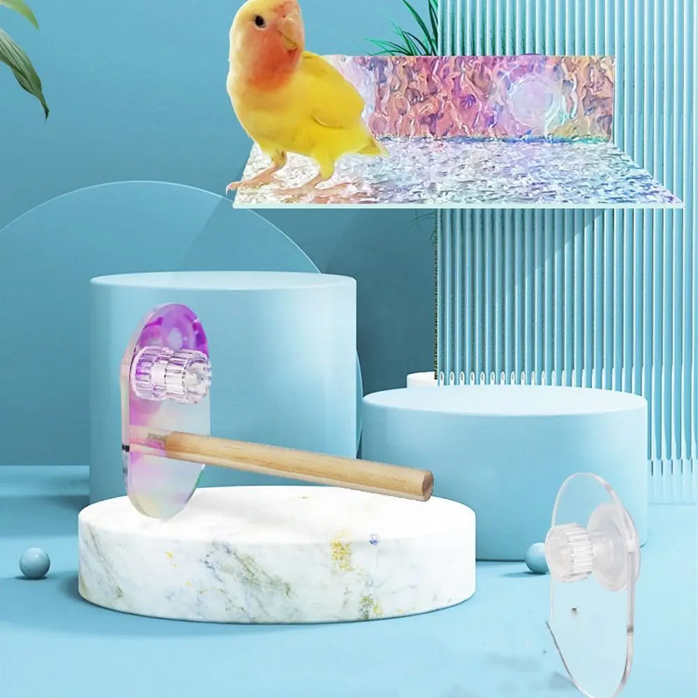 Suction Cup Bird Stand Scratch Resistant Wear Resistant Parrot Perching Stand Wood Acrylic Claw Grinding Stick Pet Toy
Suction Cup Bird Stand Scratch Resistant Wear Resistant Parrot Perching Stand Wood Acrylic Claw Grinding Stick Pet Toy