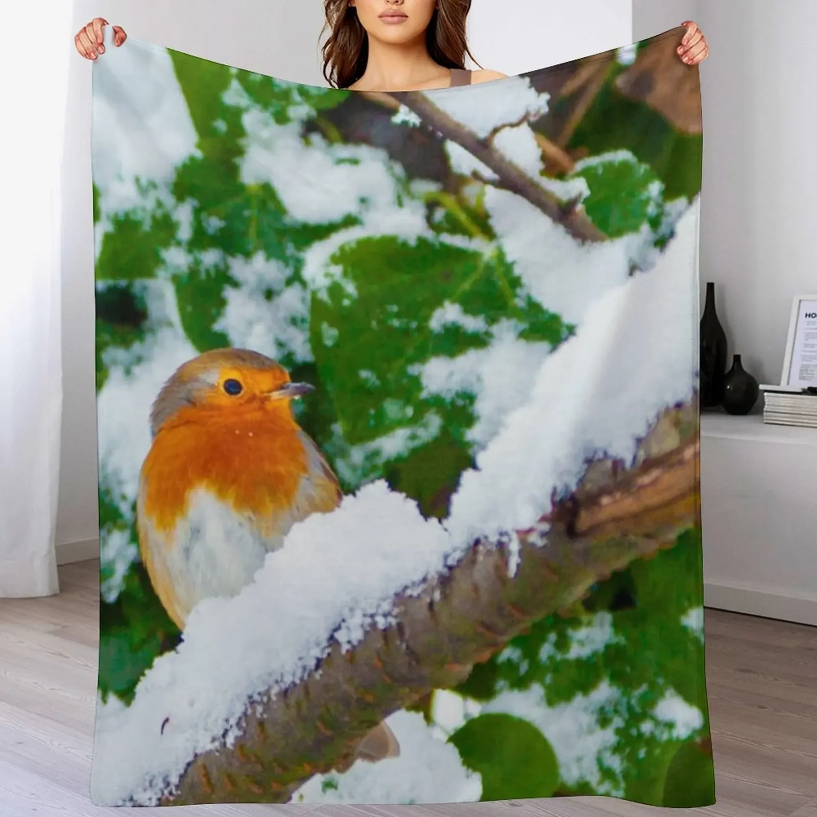 Robin in the Snow Throw Blanket Summer wednesday funny gift warm for winter Blankets
Robin in the Snow Throw Blanket Summer wednesday funny gift warm for winter Blankets