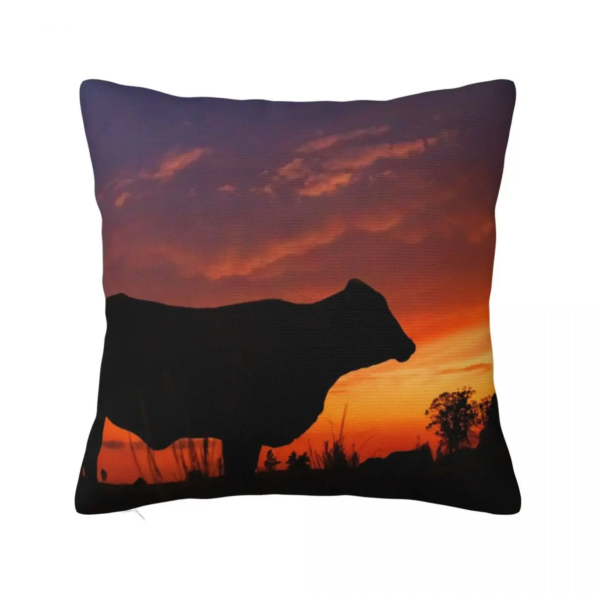 Droughtmaster Sky Throw Pillow Sofa Pillow Cover Pillow Cases Decorative bed pillows
Droughtmaster Sky Throw Pillow Sofa Pillow Cover Pillow Cases Decorative bed pillows