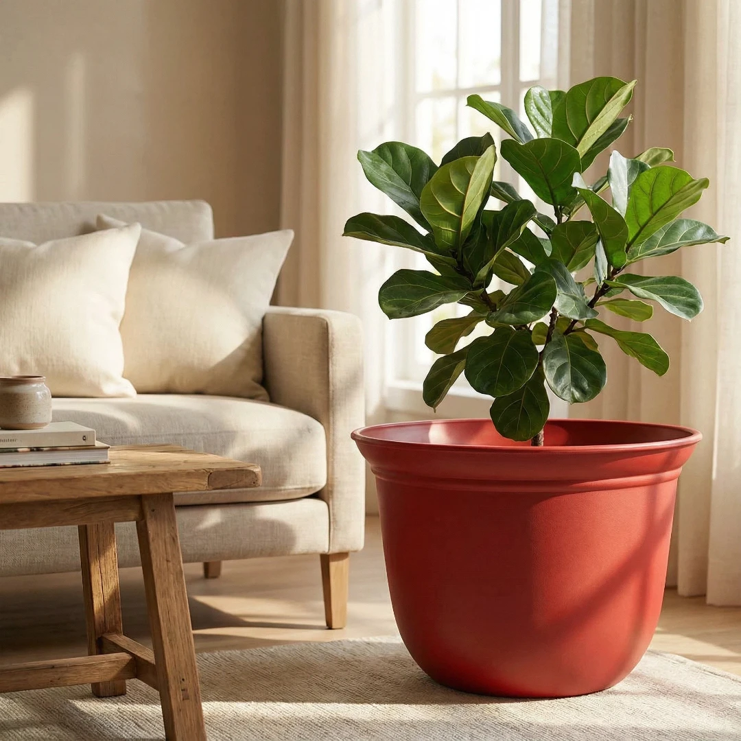 Круглые черные пластиковые горшки для цветов для использования в помещении и на открытом воздухе, с дренажными отверстиями, подходят для маленьких и больших суклов
Круглые черные пластиковые горшки для цветов для использования в помещении и на открытом воздухе, с дренажными отверстиями, подходят для маленьких и больших суклов