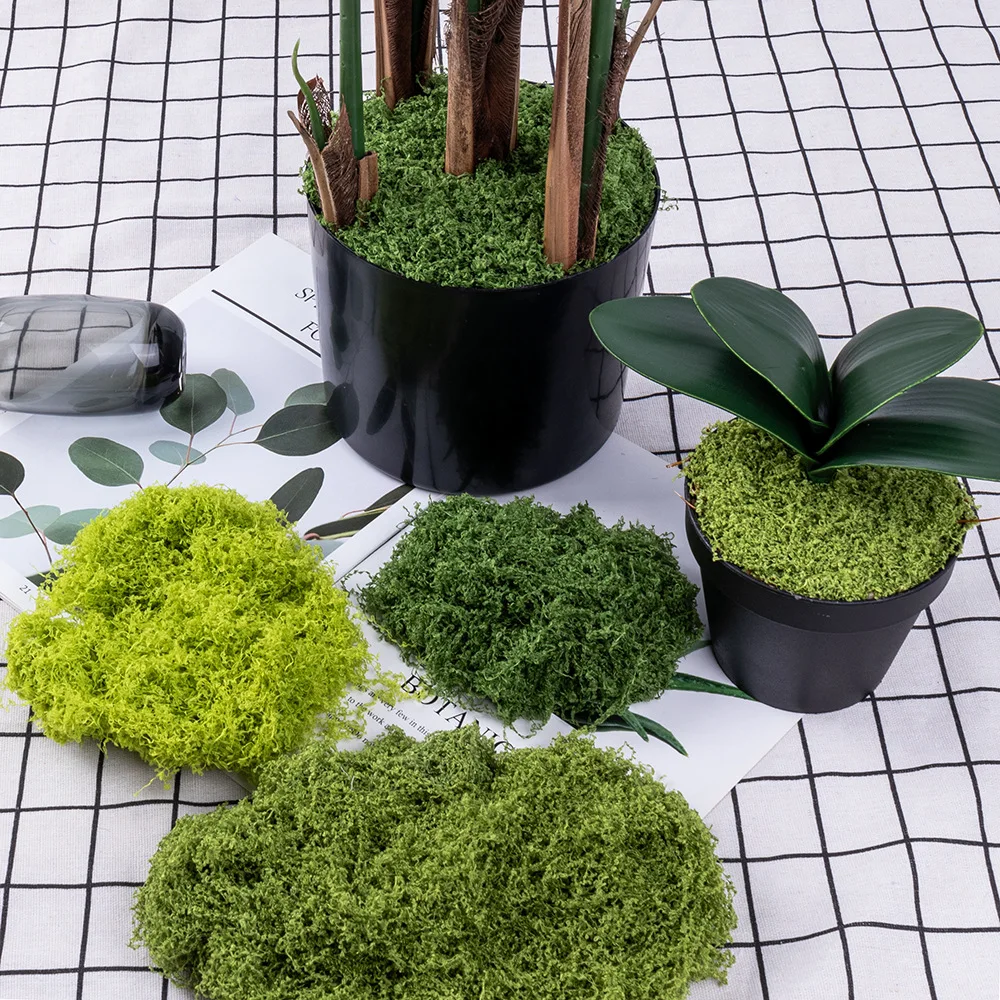 Grass Moss Silk Outdoor Gardening Landscape Flower Pot Moss Green Plants Indoor Window Decoration Photography Props 30g-100g
Grass Moss Silk Outdoor Gardening Landscape Flower Pot Moss Green Plants Indoor Window Decoration Photography Props 30g-100g