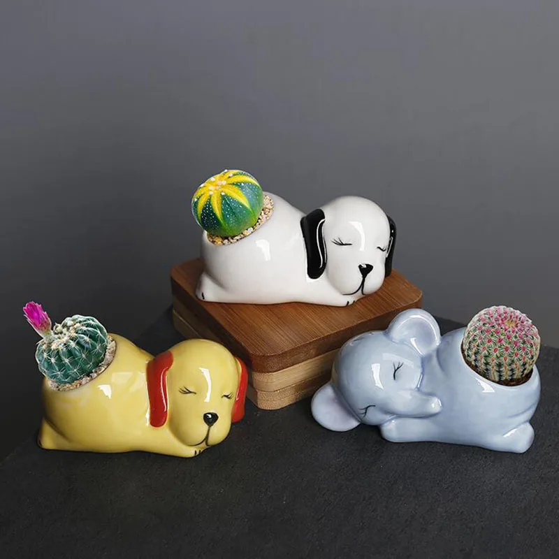 Cartoon Porcelain Suuclent Plant Pot Sleepping Animal Flower Pot Breathable Vase with A Hole Desktop Planter Home Garden Decor
Cartoon Porcelain Suuclent Plant Pot Sleepping Animal Flower Pot Breathable Vase with A Hole Desktop Planter Home Garden Decor
