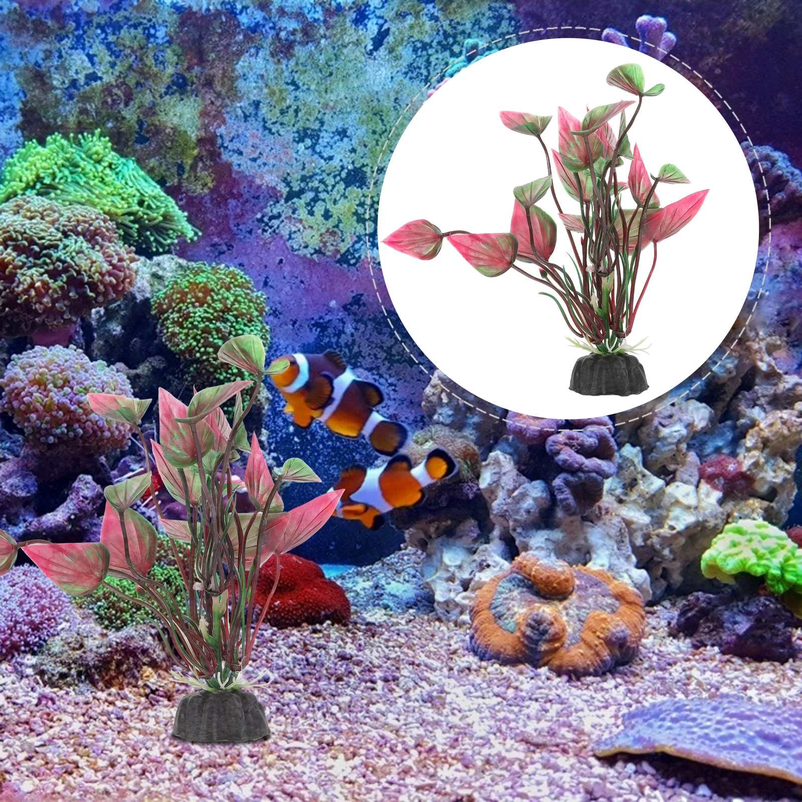 6pcs Plants Plastic Fish Tank Decoration Floating Aquarium Plants Sturdy Base No Maintenance For Aquarium Tank Decorations
6pcs Plants Plastic Fish Tank Decoration Floating Aquarium Plants Sturdy Base No Maintenance For Aquarium Tank Decorations