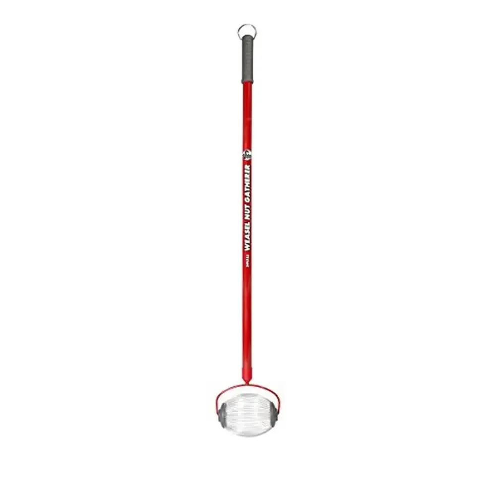Гайка Gatherer Малый двор Ролик Pick Up Acorns Buckeyes Размер 3/8 "-3/4" Емкость 1/2 галлона Легкая ручка без изгиба Рулонная проволочная клетка
Гайка Gatherer Малый двор Ролик Pick Up Acorns Buckeyes Размер 3/8 "-3/4" Емкость 1/2 галлона Легкая ручка без изгиба Рулонная проволочная клетка