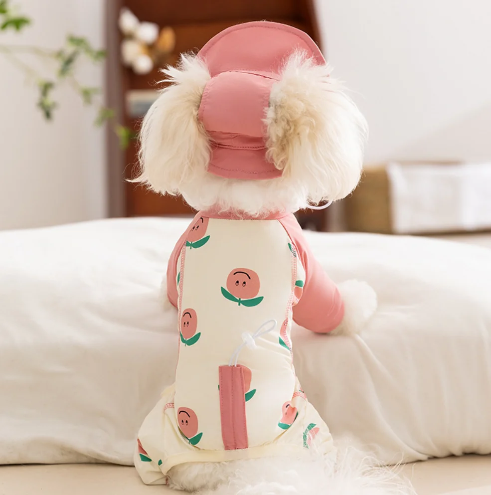 Spring and summer dog fruit full print four foot sunscreen cool clothes Teddy outdoor sunscreen clothes Cat pet dog clothes
Spring and summer dog fruit full print four foot sunscreen cool clothes Teddy outdoor sunscreen clothes Cat pet dog clothes