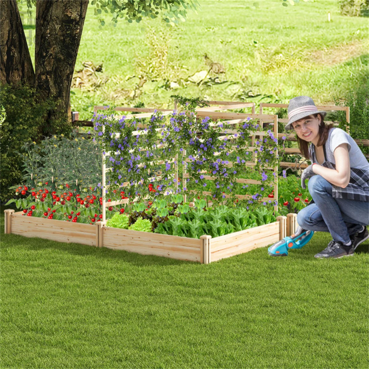 Raised Garden Bed with 2 Planter Boxes and 3 Trellis,Naturally Durable Material,Free Combination ,Raised Garden Bed
Raised Garden Bed with 2 Planter Boxes and 3 Trellis,Naturally Durable Material,Free Combination ,Raised Garden Bed