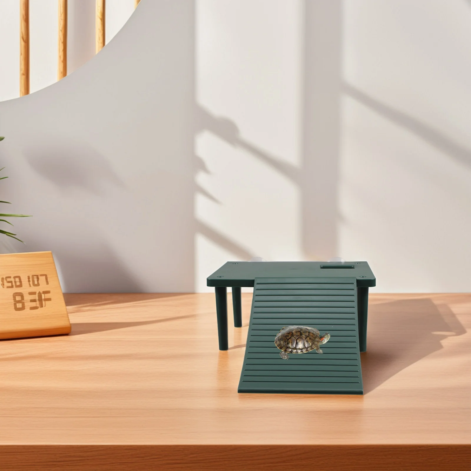 Floating Turtle Basking Platform with Ramp Large Aquarium Terrace for Turtles Reptile Habitat Climbing Area Dock Accessories
Floating Turtle Basking Platform with Ramp Large Aquarium Terrace for Turtles Reptile Habitat Climbing Area Dock Accessories