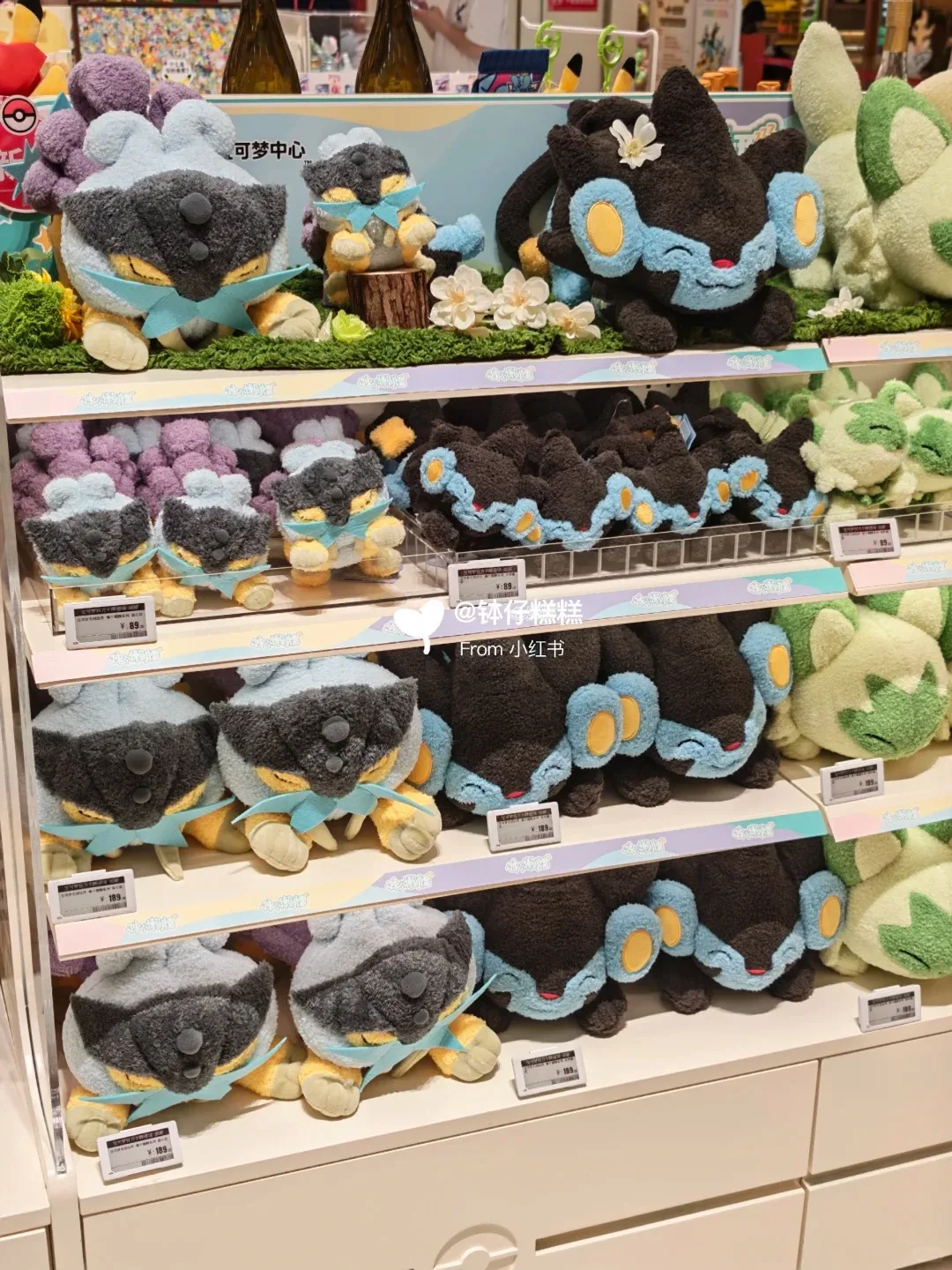 Pokémon Genuine Plush Doll Stretching Series Raikou Luxray Eevee Sprigatito Keychain Ornament Decoration Toy Birthday Gift
Pokémon Genuine Plush Doll Stretching Series Raikou Luxray Eevee Sprigatito Keychain Ornament Decoration Toy Birthday Gift