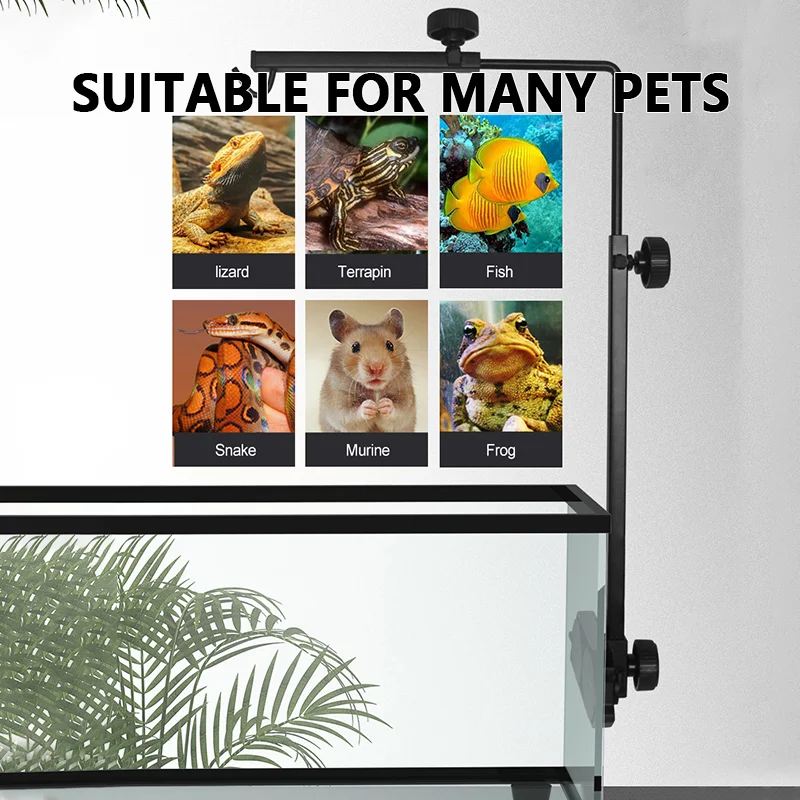 Adjustable Lamp Holder for Amphibians Reptiles Detachable Metal Floor Lamp Holder Suitable for lizard Turtle Snake Reptile
Adjustable Lamp Holder for Amphibians Reptiles Detachable Metal Floor Lamp Holder Suitable for lizard Turtle Snake Reptile