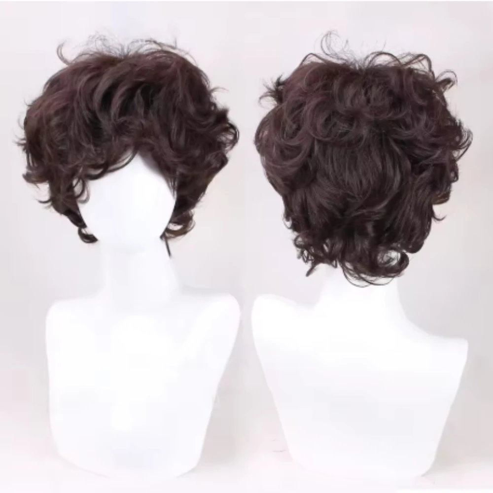 Frodo Baggins Cosplay Wig: Heat-Resistant Synthetic Short Brown Curly Wig for Anime and Manga Cosplay
Frodo Baggins Cosplay Wig: Heat-Resistant Synthetic Short Brown Curly Wig for Anime and Manga Cosplay
