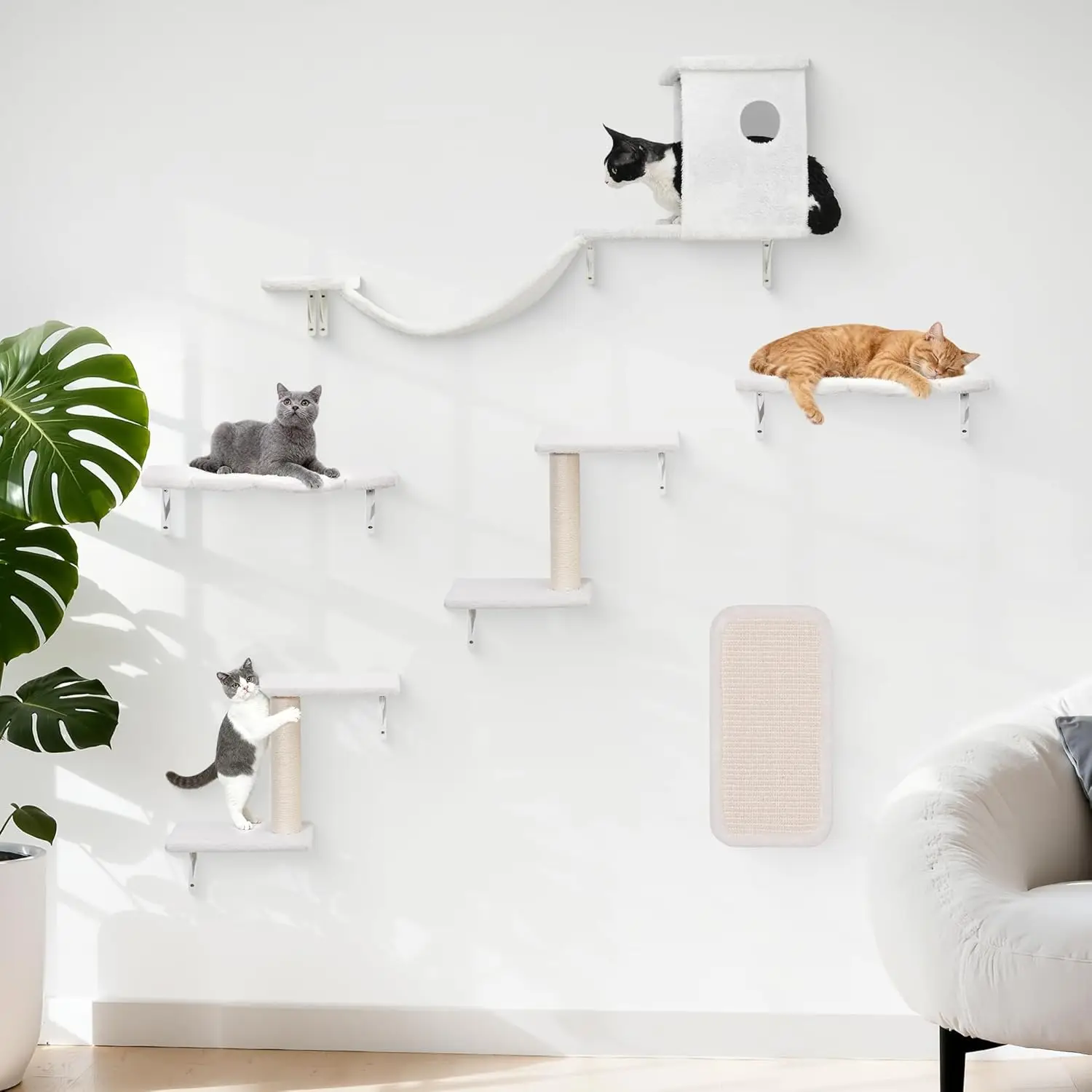 6-in-1 Cat Wall Shelves with Scratching Posts, Bed, Perch, Bridge, Condo and Steps - Space-Saving White Indoor Furniture
6-in-1 Cat Wall Shelves with Scratching Posts, Bed, Perch, Bridge, Condo and Steps - Space-Saving White Indoor Furniture
