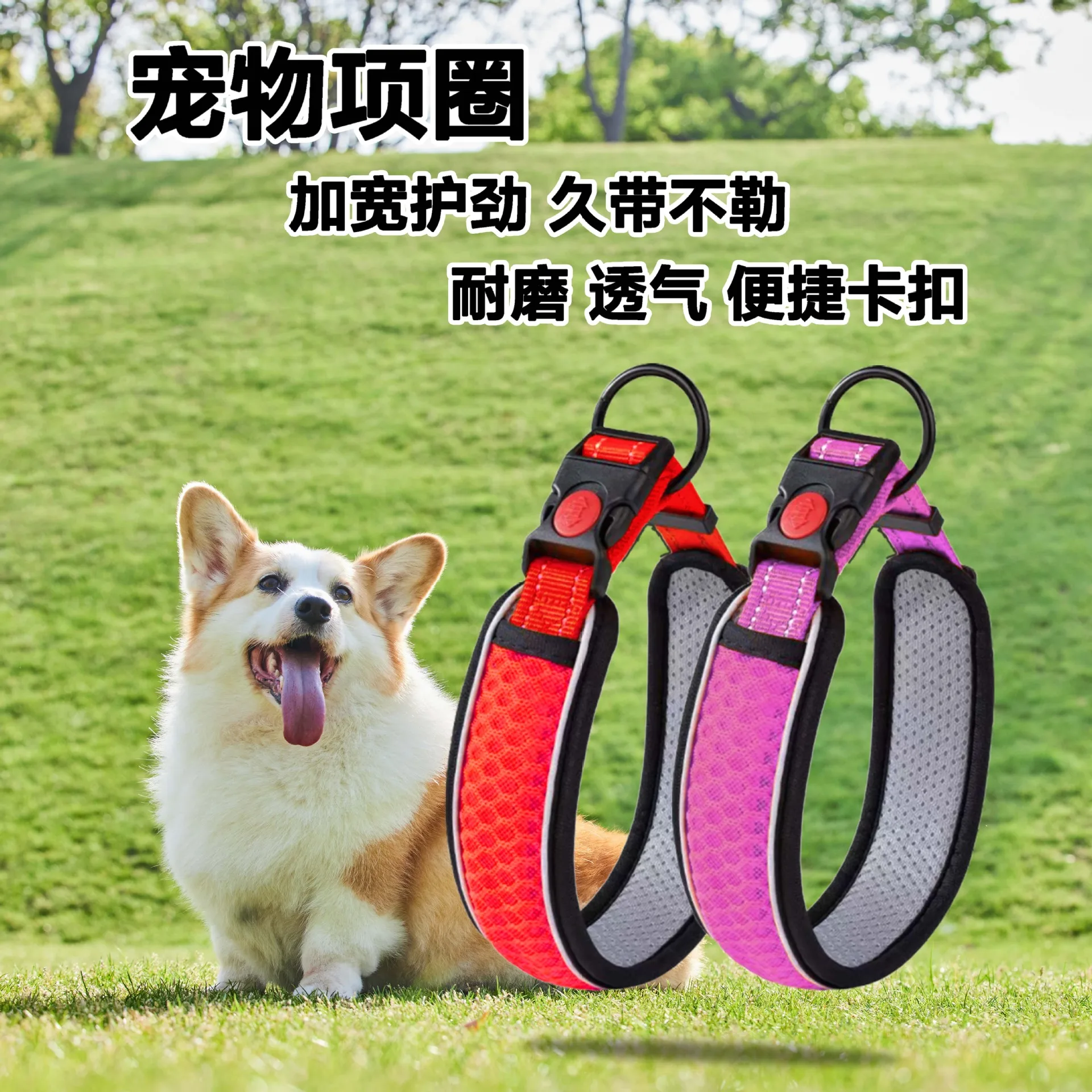 Pet Collar Mesh Breathable Multi-Color Adjustable Dog Collar Zinc Alloy Buckle Resistant to Pulling Neck
Pet Collar Mesh Breathable Multi-Color Adjustable Dog Collar Zinc Alloy Buckle Resistant to Pulling Neck