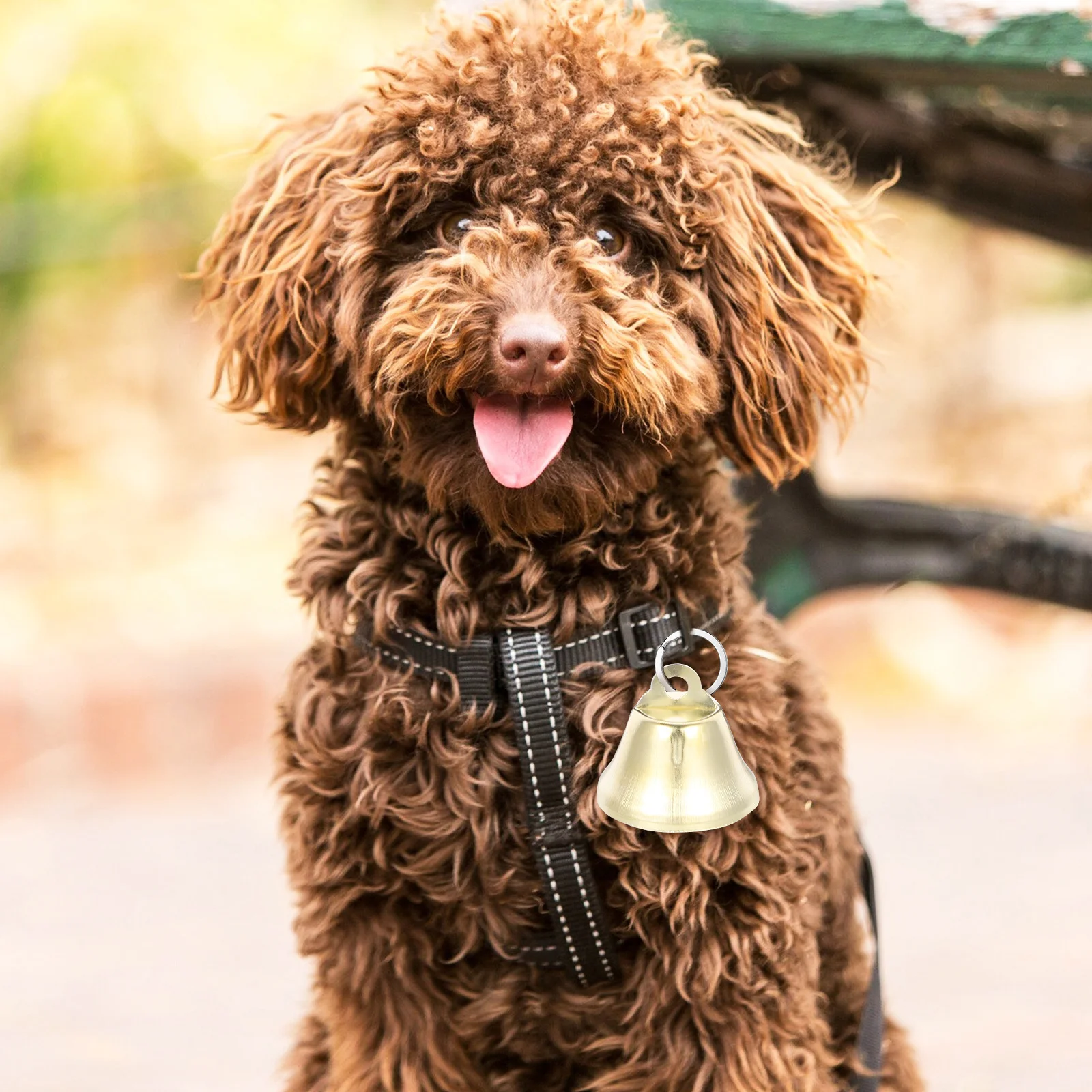 100Pcs Golden 26Mm Pet Hanging Bells Mini Jingle Bells for Wall Door Curtain Decoration Metal Craft Bell Festival Wedding Use
100Pcs Golden 26Mm Pet Hanging Bells Mini Jingle Bells for Wall Door Curtain Decoration Metal Craft Bell Festival Wedding Use