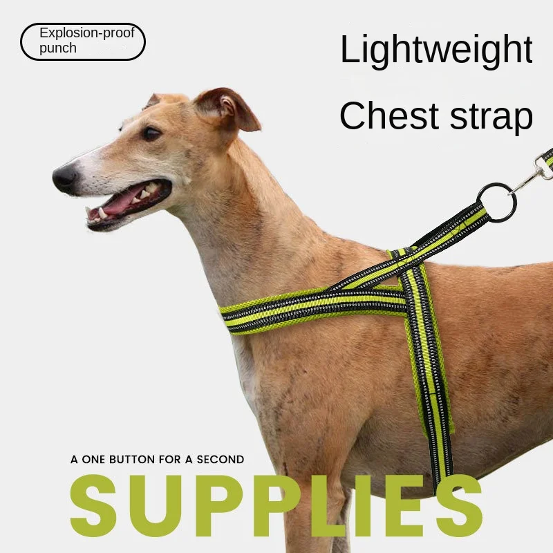 Premium Pet Harness Reflective Breathable Dog Medium and Large Dogs Explosion-Proof Walking Leash Collar
Premium Pet Harness Reflective Breathable Dog Medium and Large Dogs Explosion-Proof Walking Leash Collar