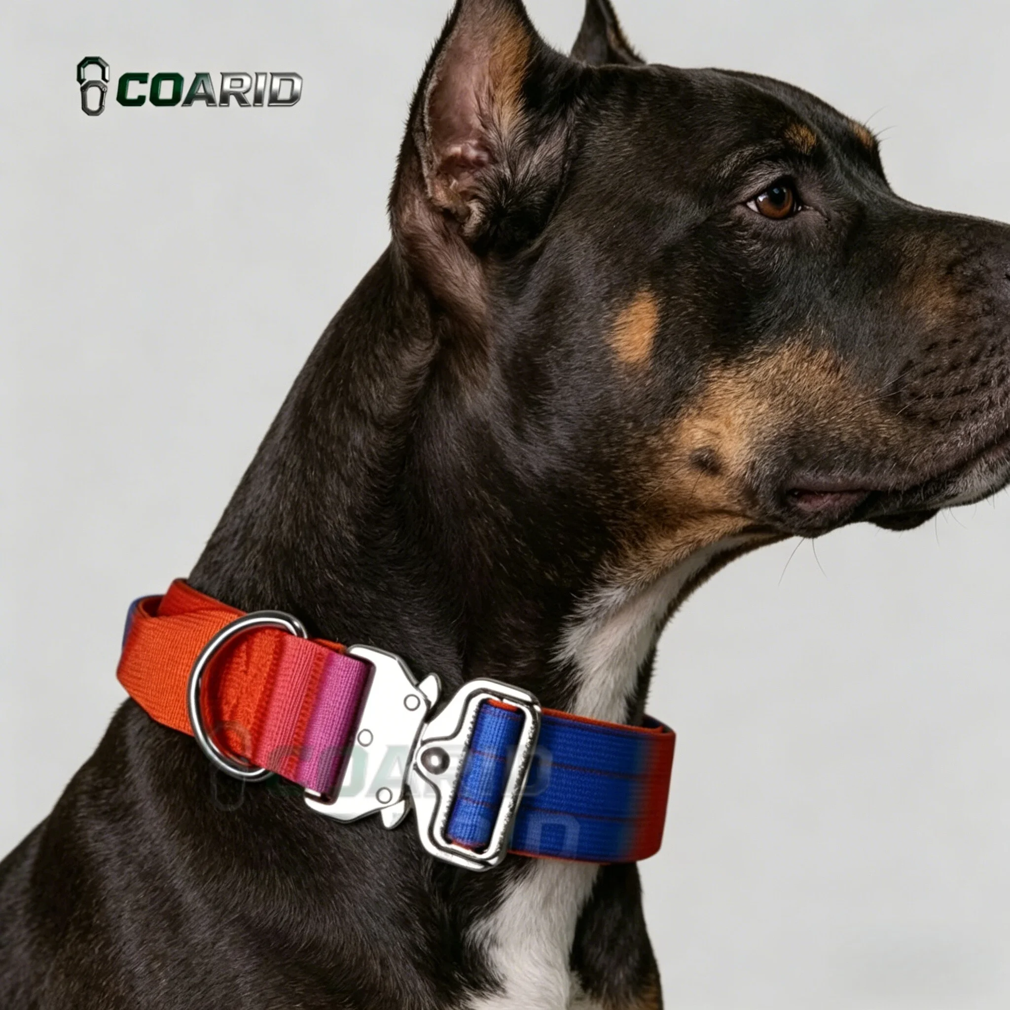 Heavy Duty Tactical Dog Collar Gradient Color, Quick Release Buckle Nylon Adjustable, Reflective No Pull Pet Collar Large
Heavy Duty Tactical Dog Collar Gradient Color, Quick Release Buckle Nylon Adjustable, Reflective No Pull Pet Collar Large