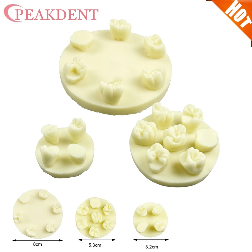 Dental Resin Filling Practice Model Student Training Test Model Practice Composite Resin Filling Teeth Jaw Studying Model
Dental Resin Filling Practice Model Student Training Test Model Practice Composite Resin Filling Teeth Jaw Studying Model
