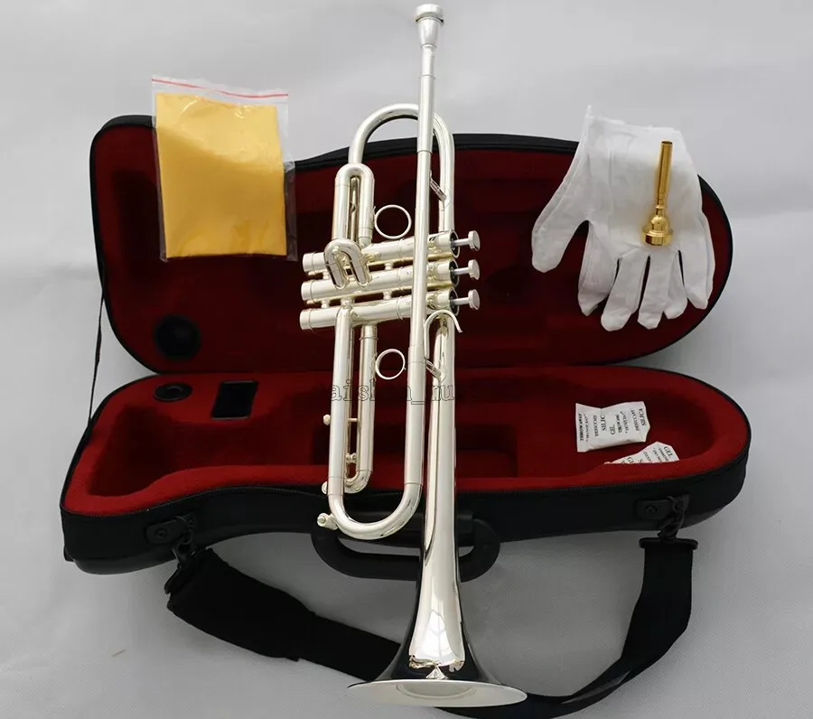 Новый профессиональный трубыный клаксон 2026 года, посеребренный, с монелевскими поршнями, колокол 127 мм, два мундштука, 79
Новый профессиональный трубыный клаксон 2026 года, посеребренный, с монелевскими поршнями, колокол 127 мм, два мундштука, 79