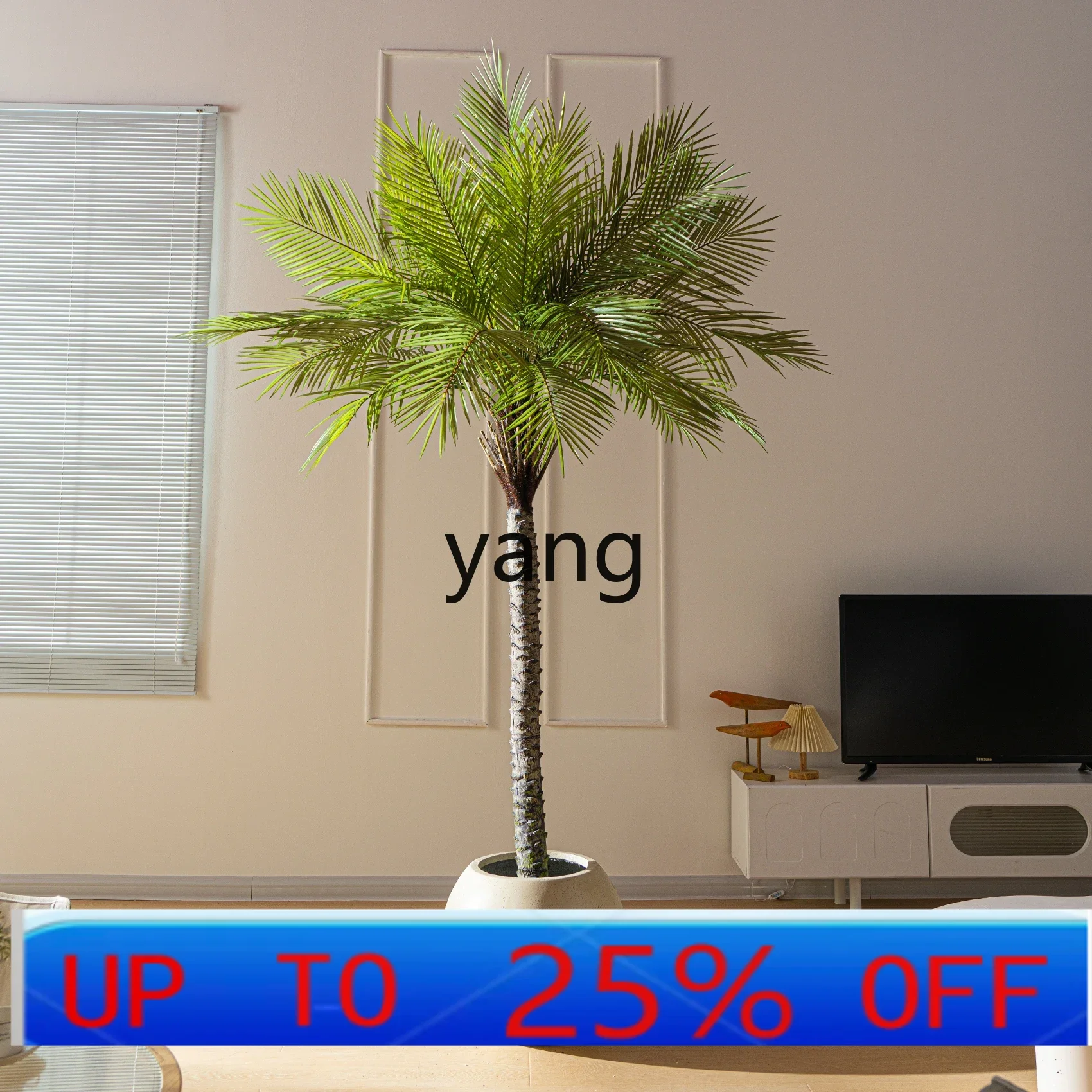 Yjq Simulation Green Plant Needle Sunflower Advanced Bionic Interior Decoration False Tree
Yjq Simulation Green Plant Needle Sunflower Advanced Bionic Interior Decoration False Tree