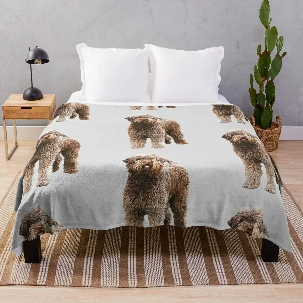 Lagotto Romagnolo - Italian Water Dog Throw Blanket Bed covers Plaid on the sofa Plaid Blankets Moving Hair Blankets
Lagotto Romagnolo - Italian Water Dog Throw Blanket Bed covers Plaid on the sofa Plaid Blankets Moving Hair Blankets