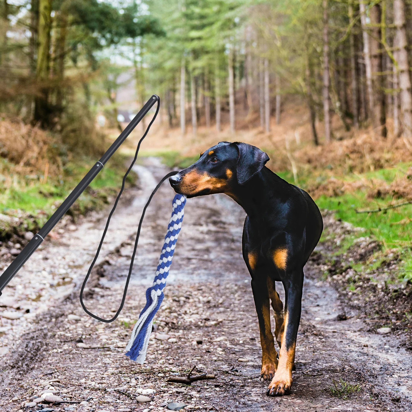 Interactive Dog Training Tool Extendable Flirt Pole with Cotton Rope Dangler for Mental Exercise Chasing Black L
Interactive Dog Training Tool Extendable Flirt Pole with Cotton Rope Dangler for Mental Exercise Chasing Black L