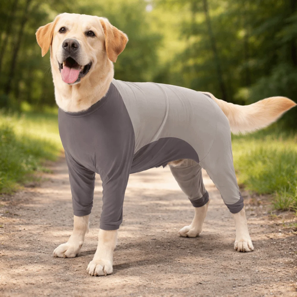 Elastic Dog Four-Legged Pajamas Soft Comfortable Dog Sterilization suit Long Sleeves Anti-licking Dog Jumpsuit Home Wear
Elastic Dog Four-Legged Pajamas Soft Comfortable Dog Sterilization suit Long Sleeves Anti-licking Dog Jumpsuit Home Wear