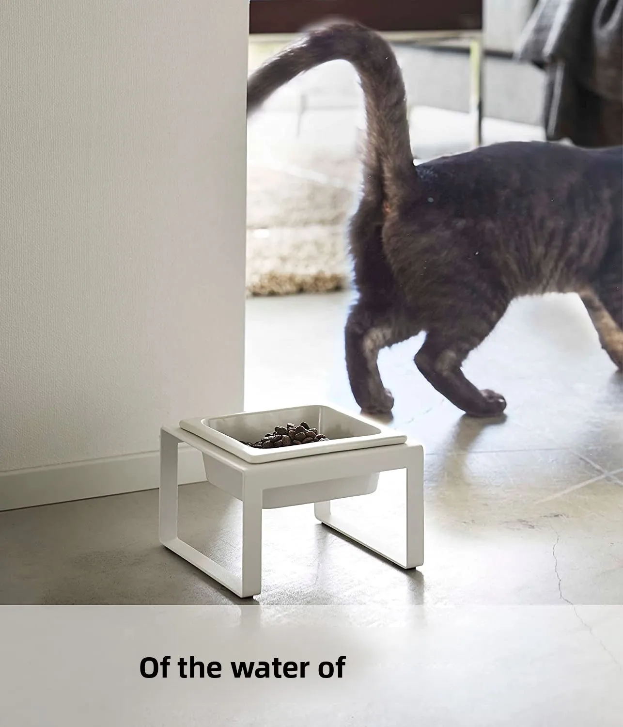 Yamazaki Cercs Миска для домашних животных Большой диаметр Противооткидная миска для собак Ne Protection для s и собак Cerc Food Water Diware 
Yamazaki Cercs Миска для домашних животных Большой диаметр Противооткидная миска для собак Ne Protection для s и собак Cerc Food Water Diware