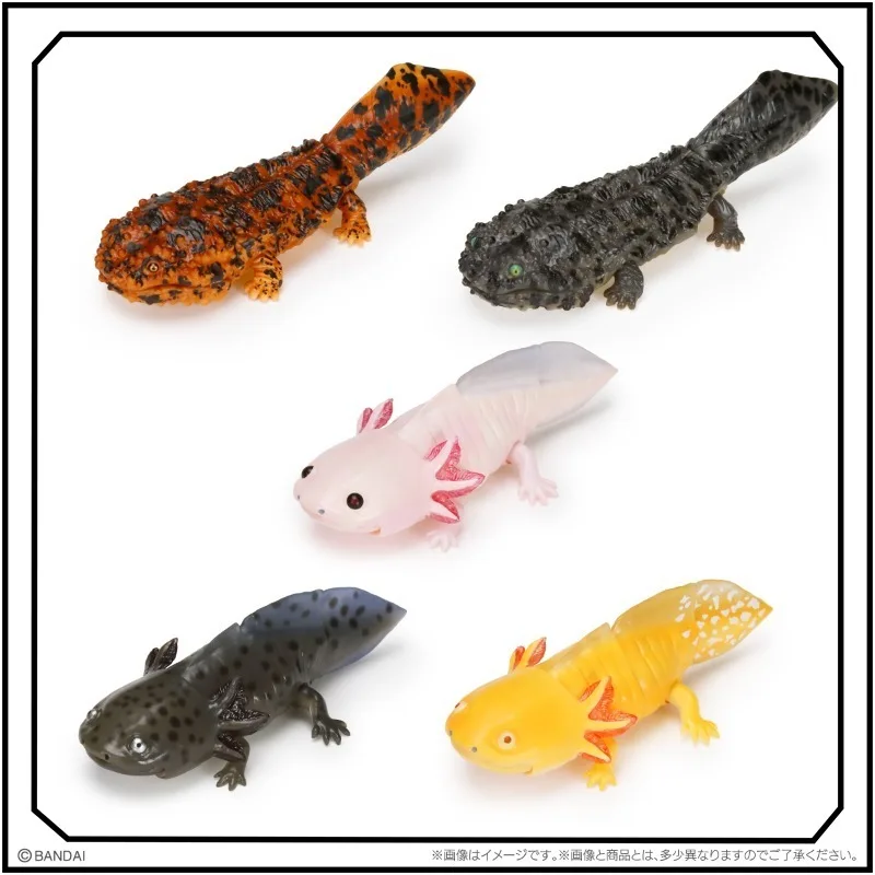 Biology Illustrated Gashapon Giant Salamander Salamander Cute Simulation Movable Action Figure New Gifts
Biology Illustrated Gashapon Giant Salamander Salamander Cute Simulation Movable Action Figure New Gifts