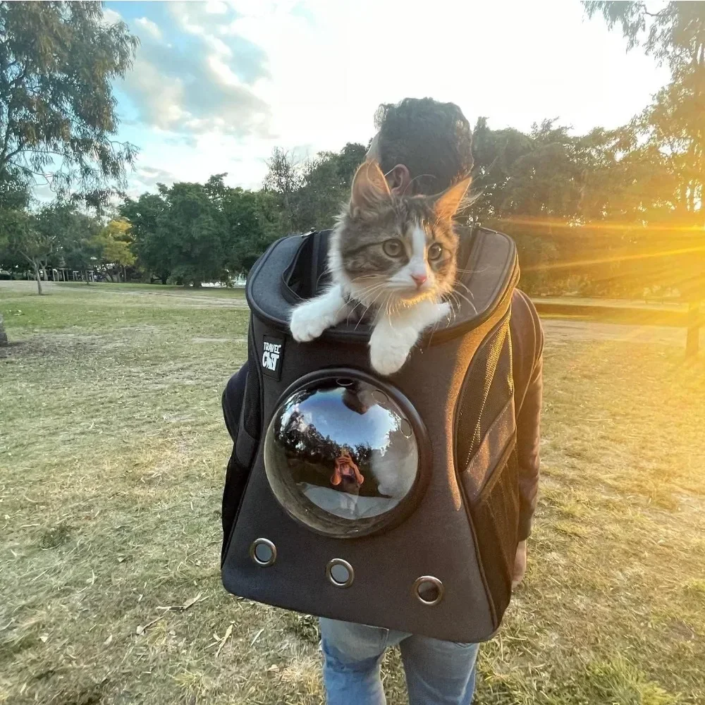 Good Quality Large Capacity Breathable Pet Backpack Portable Outdoor Walking Carrier Foldable Feature For Cats
Good Quality Large Capacity Breathable Pet Backpack Portable Outdoor Walking Carrier Foldable Feature For Cats