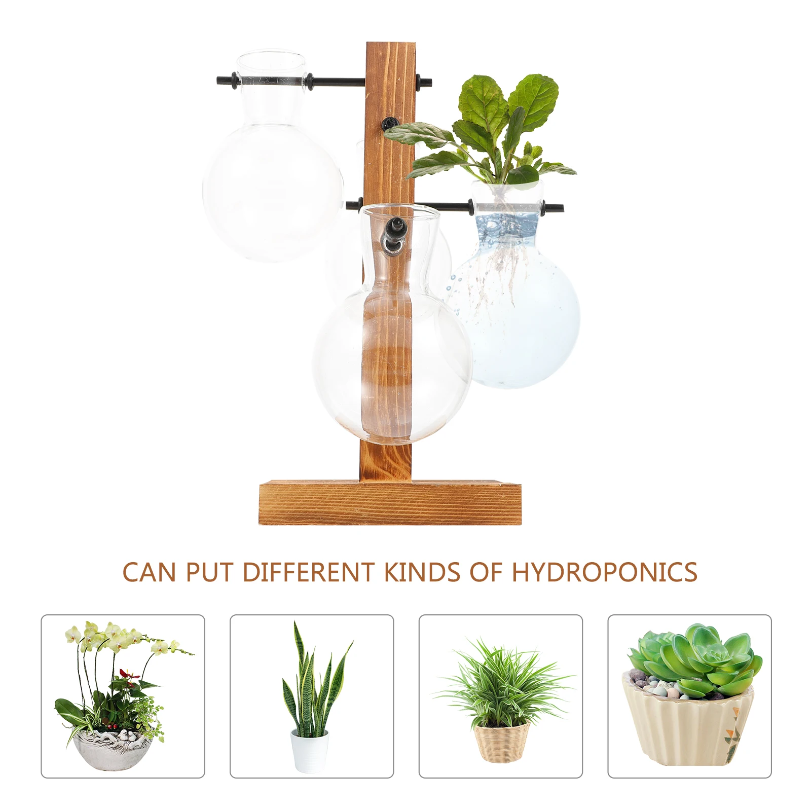 Hydroponic Vase Unique Centerpiece Vases Hydroponics Planting Household Table Wooden Frame Decorative Flower
Hydroponic Vase Unique Centerpiece Vases Hydroponics Planting Household Table Wooden Frame Decorative Flower