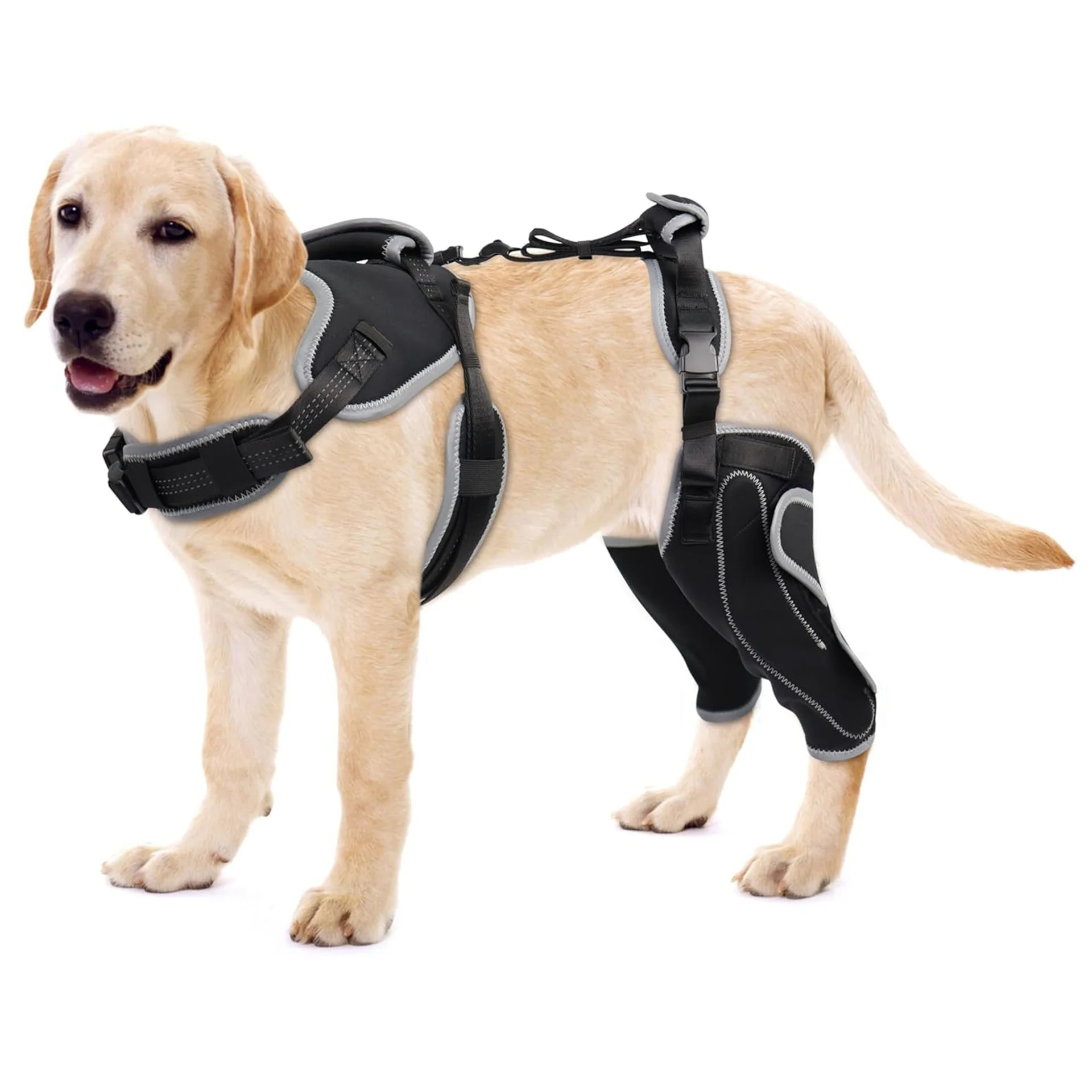 Adjustable Dog Knee Brace Hind Leg ACL Support Cruciate Ligament Stabilizer Back Leg Brace
Adjustable Dog Knee Brace Hind Leg ACL Support Cruciate Ligament Stabilizer Back Leg Brace