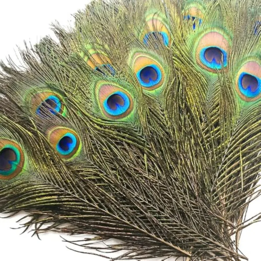 Piokio 50 Pcs Bulk Peacock Feathers, 10-12 inch For DIY and Craft, Vase and Wedding Decoration, Home Party and Christmas
Piokio 50 Pcs Bulk Peacock Feathers, 10-12 inch For DIY and Craft, Vase and Wedding Decoration, Home Party and Christmas