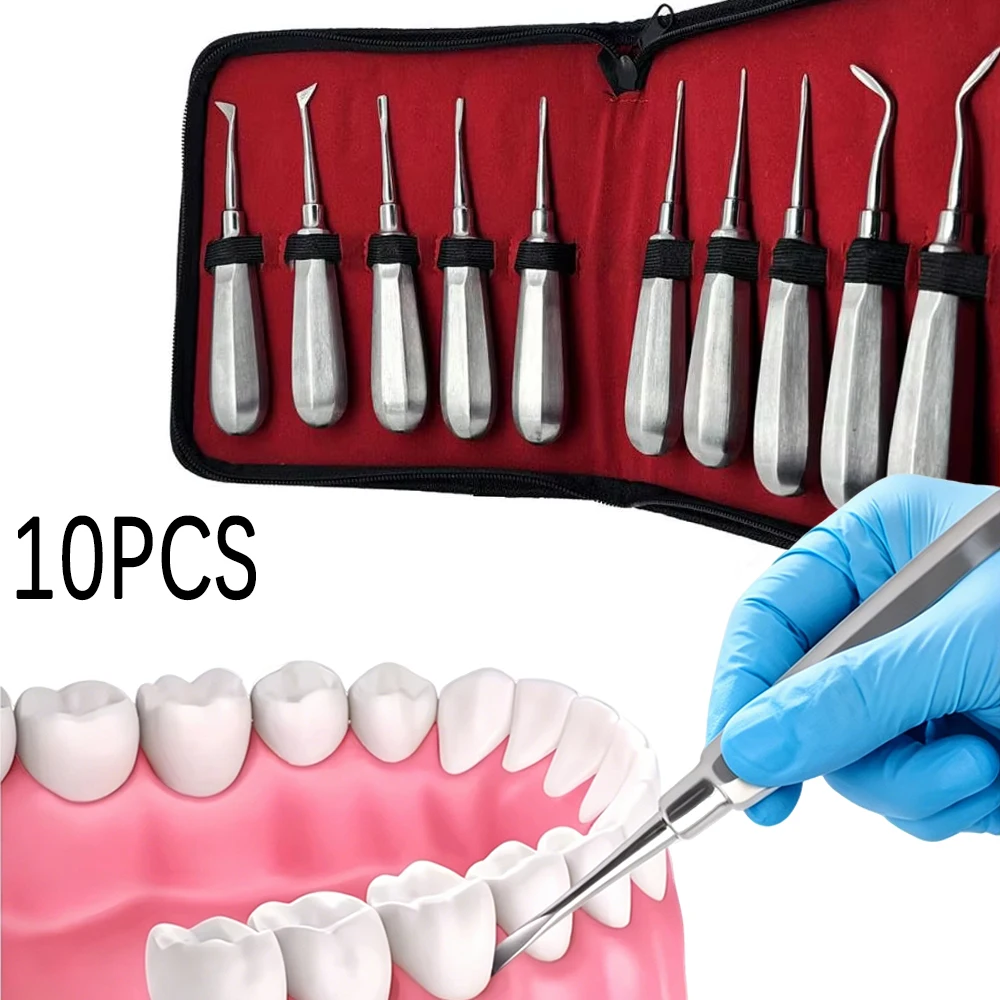 10 Pcs Stainless Steel Dental Elevator Kit Straight Curved Root Elevators for Minimally Invasive Dentistry
10 Pcs Stainless Steel Dental Elevator Kit Straight Curved Root Elevators for Minimally Invasive Dentistry