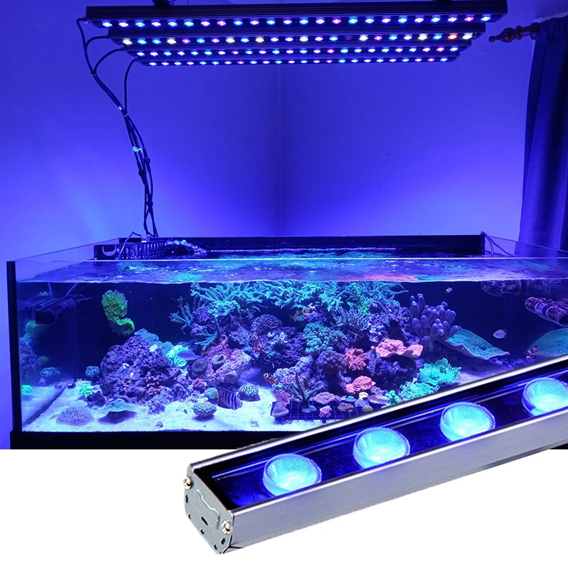 10 Watt LED Light Bar Aquariums Blue Plus Coral Fluorescent Colors Changeable Underwater Light Aluminum Material Aquarium Lamp
10 Watt LED Light Bar Aquariums Blue Plus Coral Fluorescent Colors Changeable Underwater Light Aluminum Material Aquarium Lamp